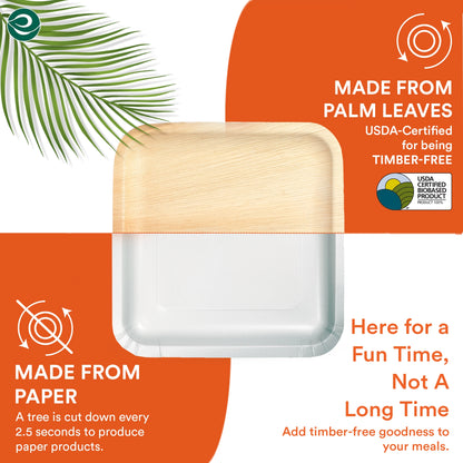 10 Inch & 7 Inch Square Compostable Palm Leaf Plates - Image 5
