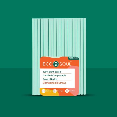 Compostable Paper Straw (Non-Bendable) Set of 100